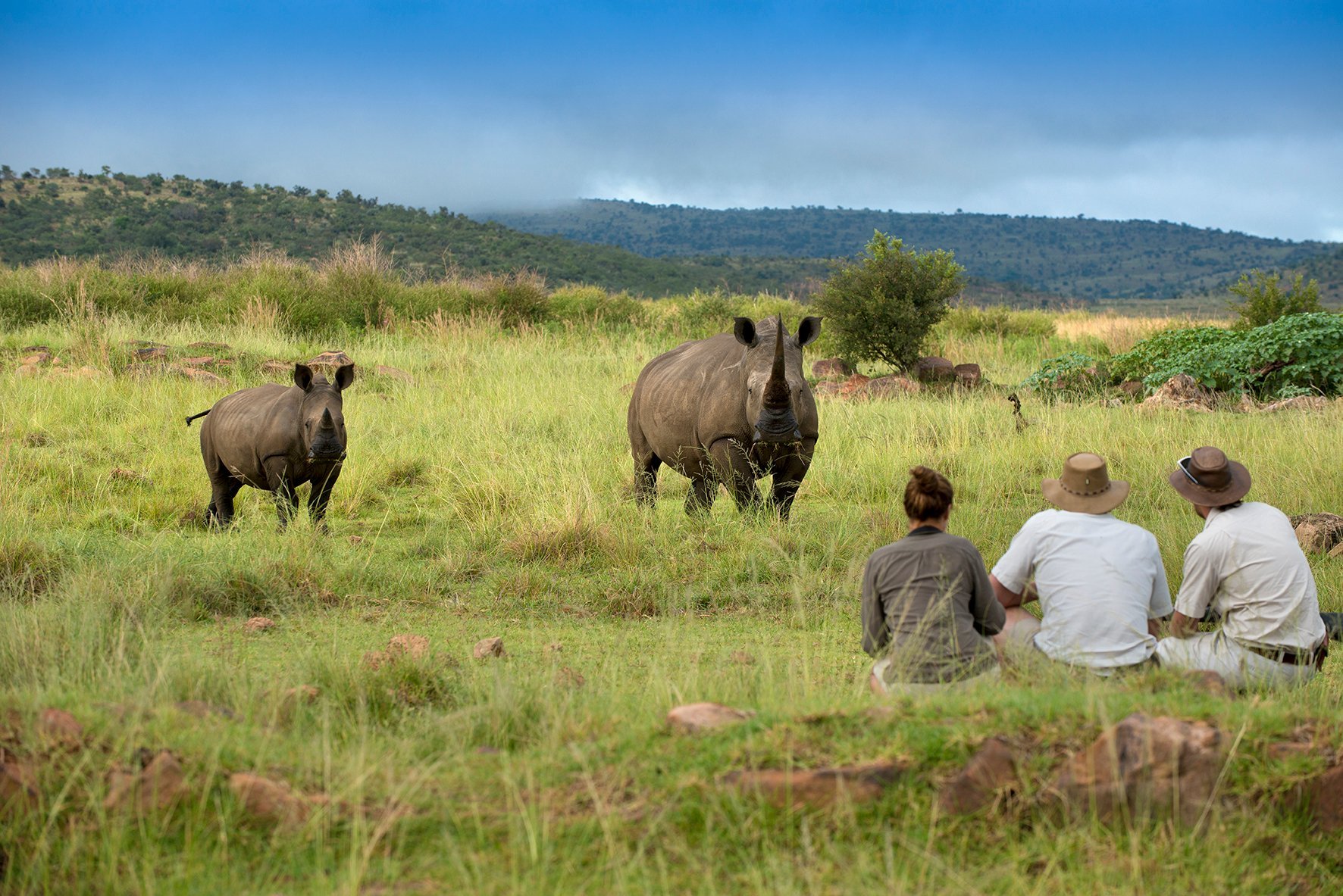 Mhondoro Safari Lodge & Villa by null