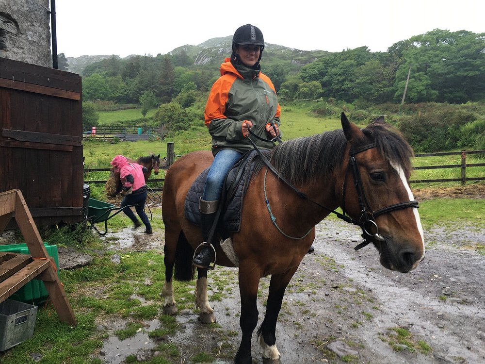 irish stable tours