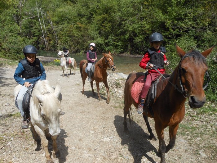 Imagen 10 de TRAC Terápies I Rutes Amb Cavall