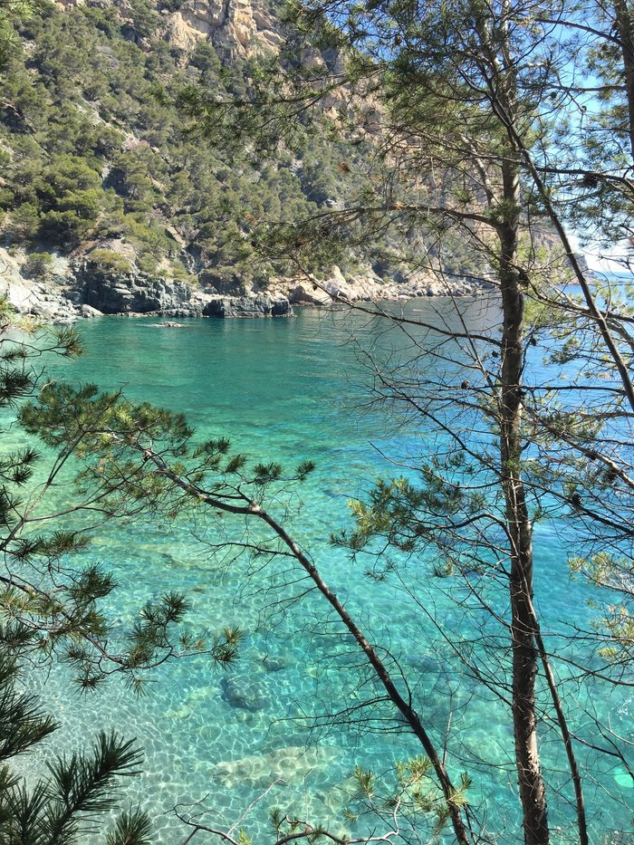 Imagen 7 de Playa Fonda, Begur (Platja Fonda, Begur)