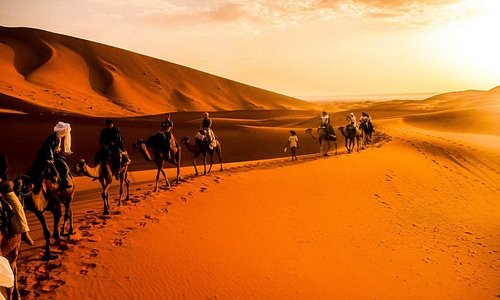 Amazing Camel Tours  Erg Chebbi Dunes