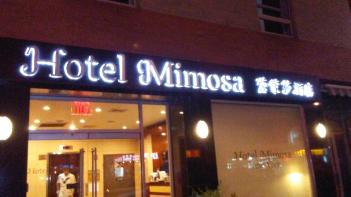 Imagen 4 de Hotel Mimosa New York