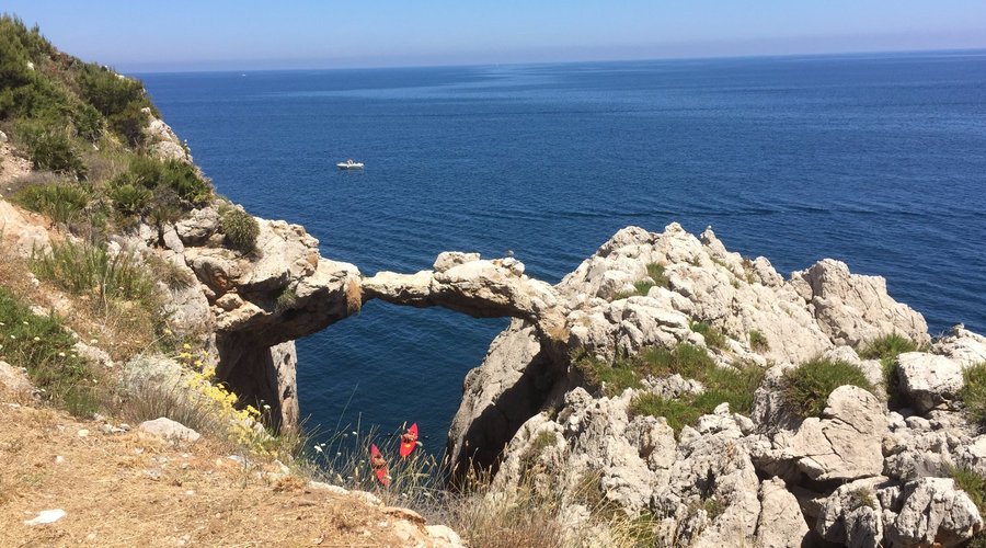 ARCO AZZURRO MONGERBINO