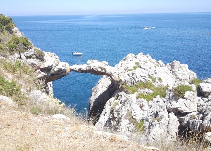ARCO_2