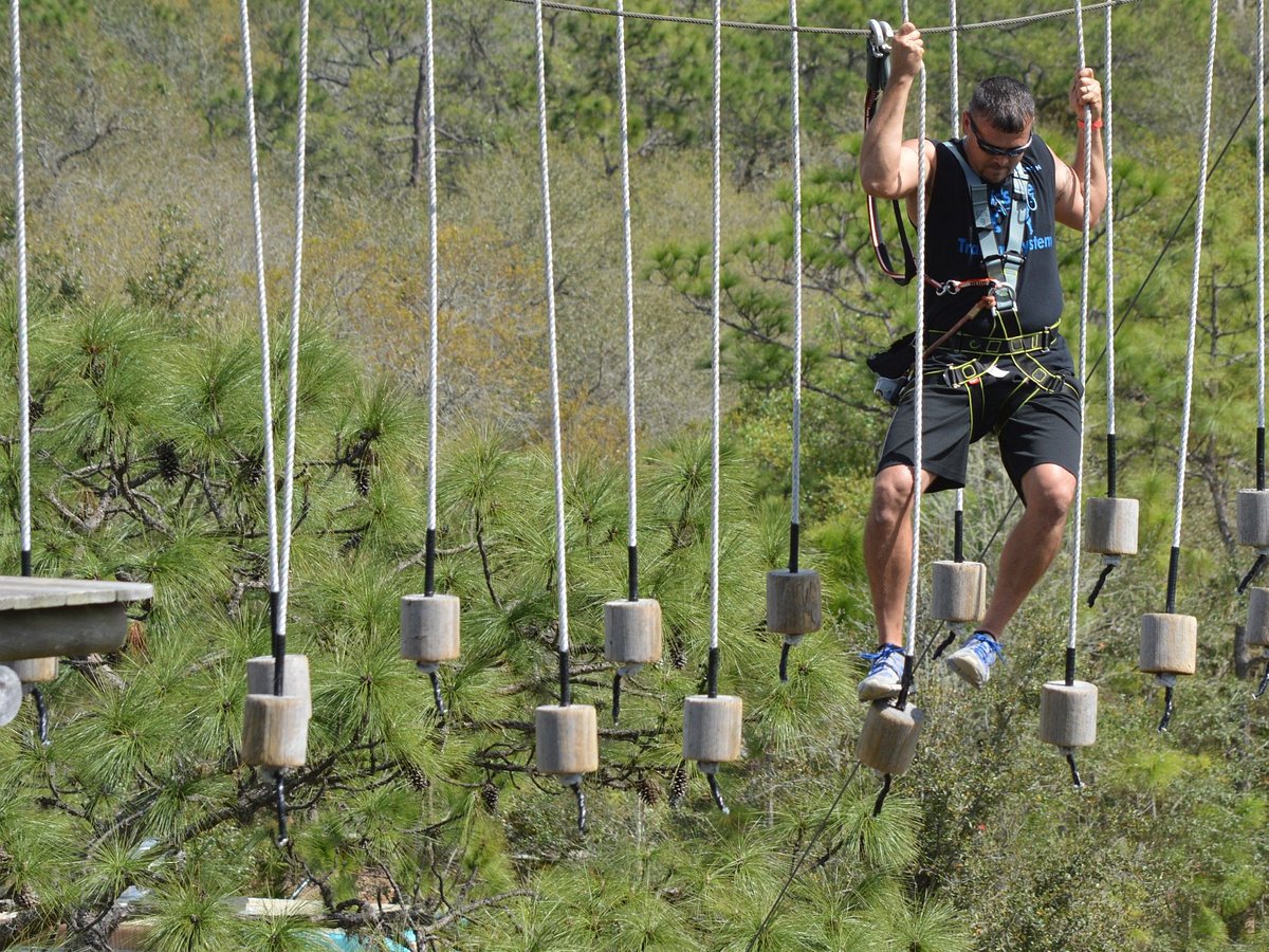 TreeUmph! Adventure Course  100+ Challenging Obstacles, Ropes, & Ziplines