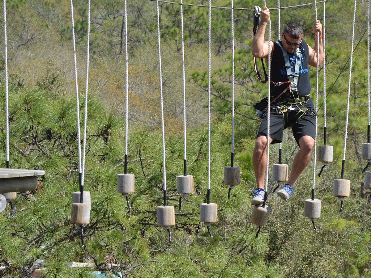 TreeUmph! Adventure Course (Bradenton) 2022 Lo que se debe saber TreeUmph! Adventure Course (Bradenton) 2022 Lo que se debe saber