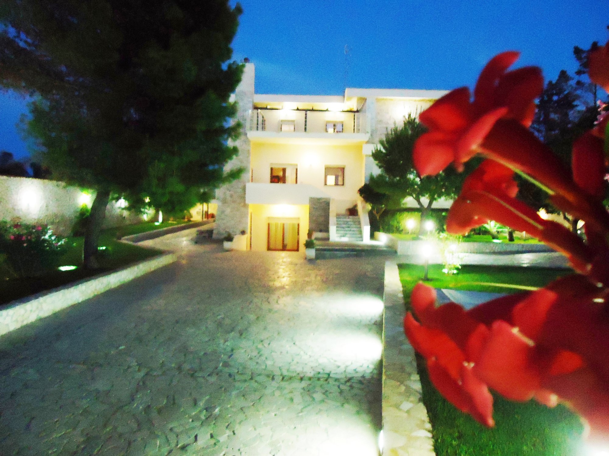 Villa Dafne B & B Rooms: Pictures & Reviews - Tripadvisor