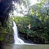 Unique Maui Tours