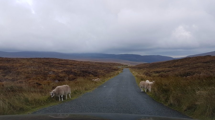 Wicklow Mountains
