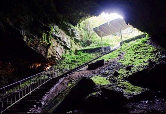 Dunmore Cave (County Kilkenny) - All You Need to Know BEFORE You Go