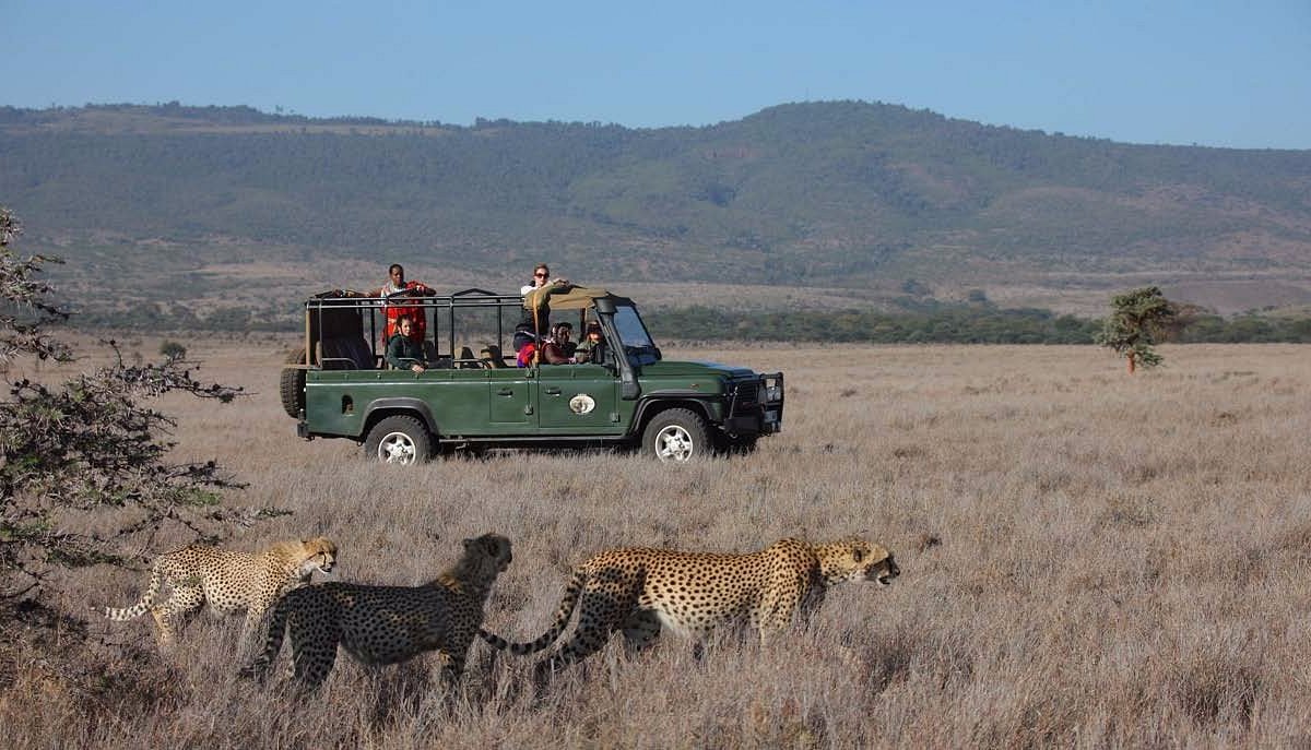 Explorers Wild Adventures (Nairobi): Ce Qu'Il Faut Savoir