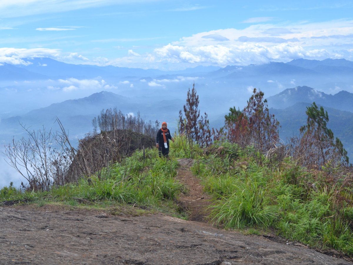 Celebes Trekking (Makassar) - All You Need to Know BEFORE You Go