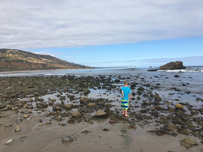 LEO CARRILLO STATE PARK - Updated 2023 Prices & Campground Reviews (Malibu, CA) Leo Carrillo State Park - Updated 2023 Prices & Campground Reviews (Malibu, Ca)