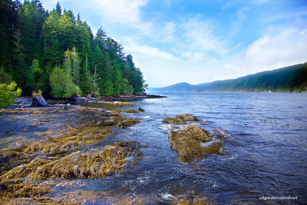 The Hidden Gem of British Columbia: Exploring French Beach Provincial Park