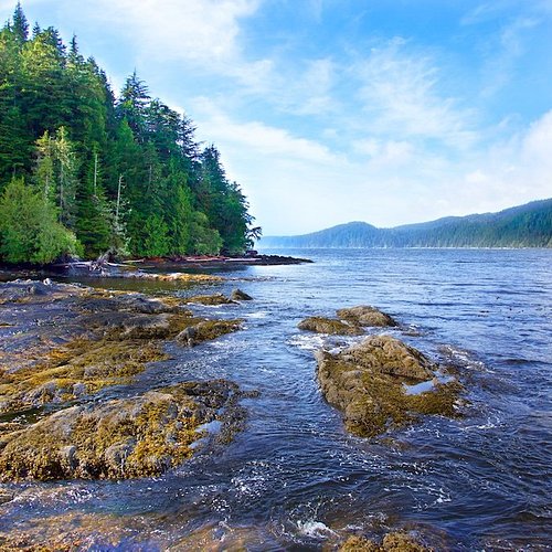 THE 10 BEST Sooke Outdoor Activities (Updated 2024) - Tripadvisor