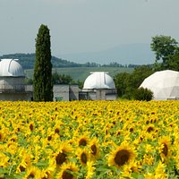 Le specole dell'osservatorio e la cupola del planetario spuntano tra i girasoli