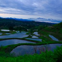 山古志の夜明けの棚田