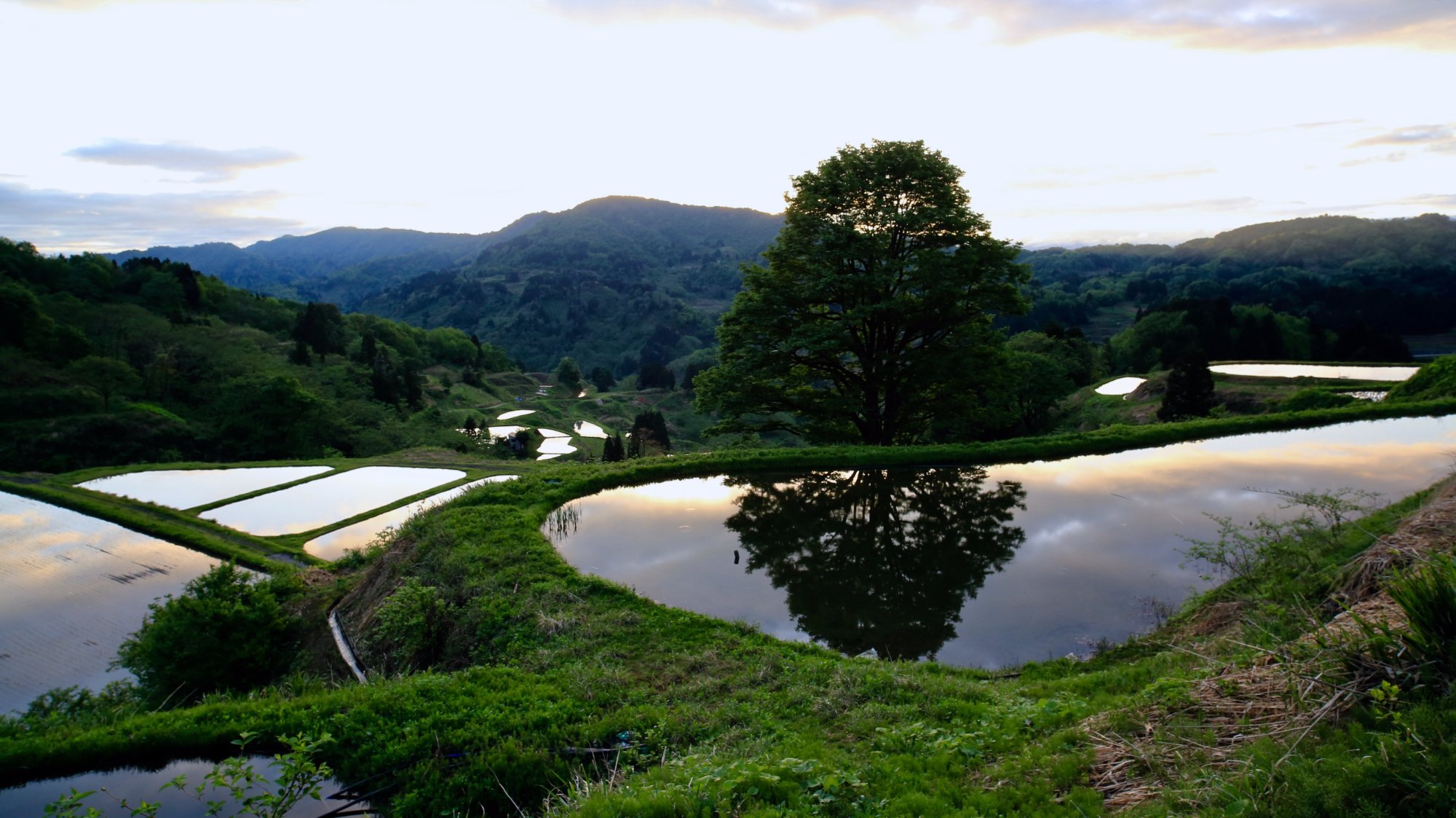 2025年 山古志の棚田 - 出発前に知っておくべきことすべて