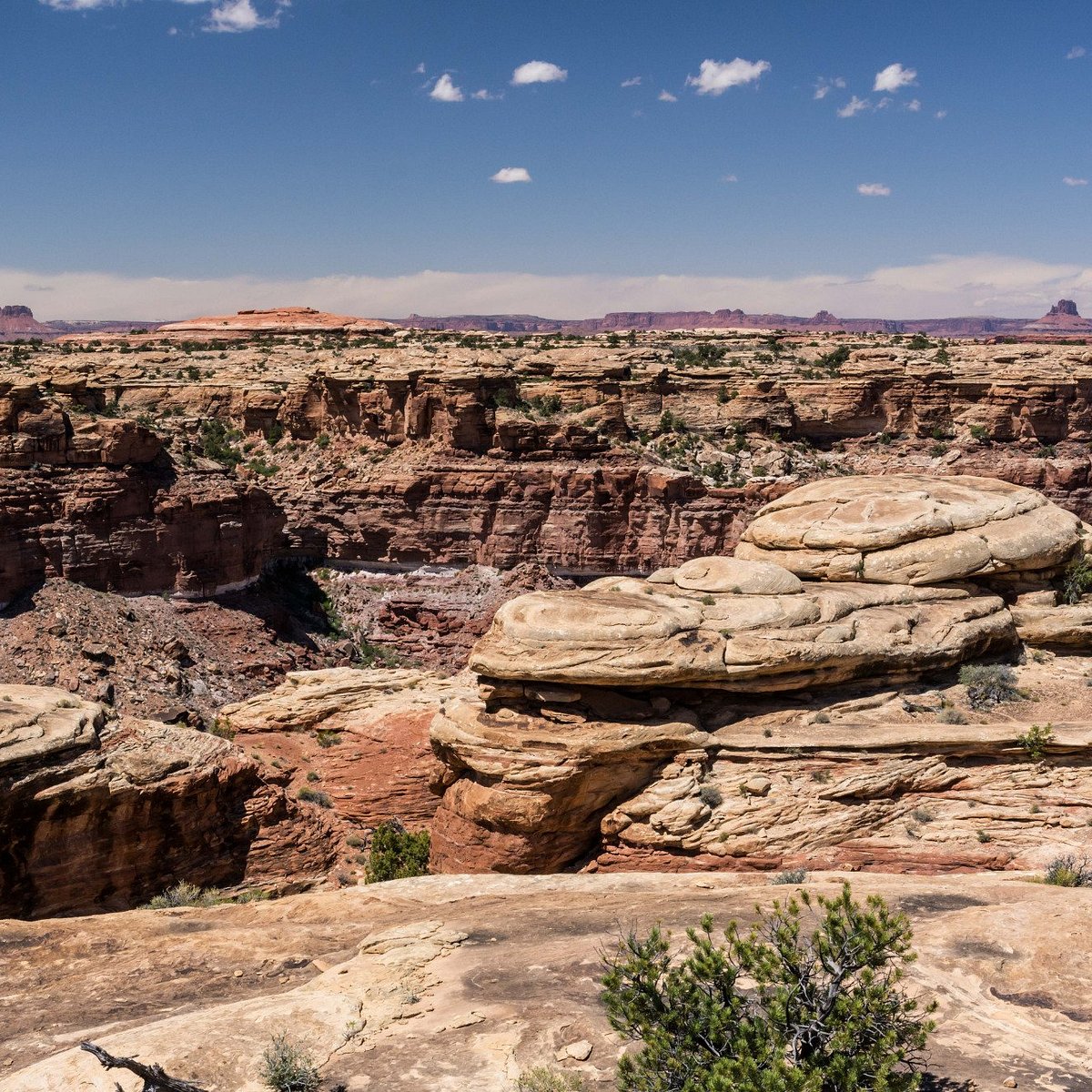 slickrock trail