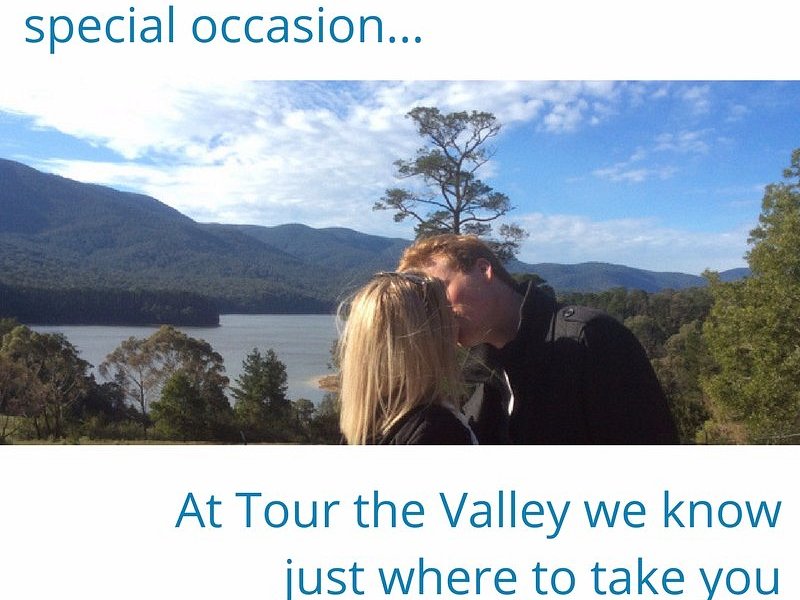 tour the valley reviews