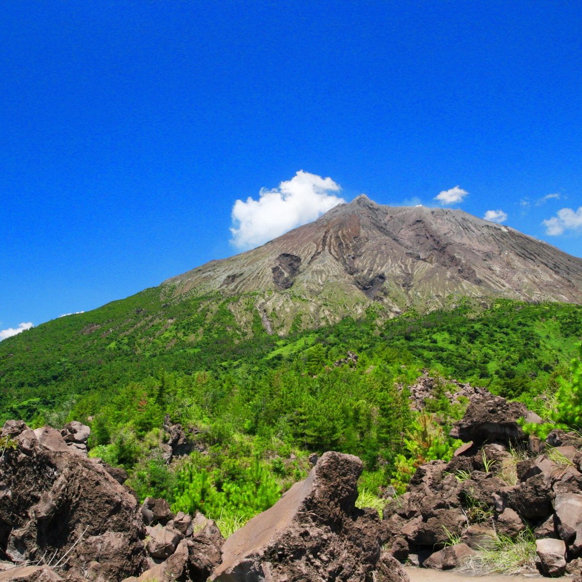 Arimura Lava Lookout (Kagoshima) - Aktuelle 2021 - Lohnt es sich? (Mit ...