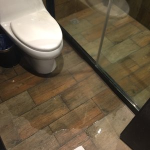 Evidence of the filth and flooded bathroom