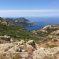 Point de vu du haut