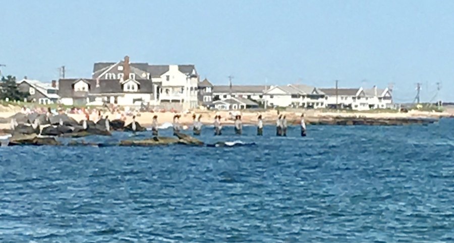 Falmouth Heights Beach