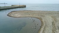 21年 はまなす公園 行く前に 見どころをチェック トリップアドバイザー 21年 はまなす公園 行く前に 見どころをチェック トリップアドバイザー