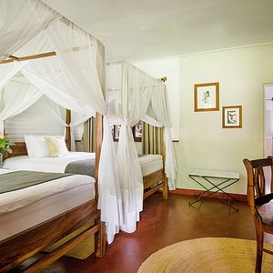 Mount Meru Game Lodge in Usa River, image may contain: Villa, Backyard, Hacienda, Resort