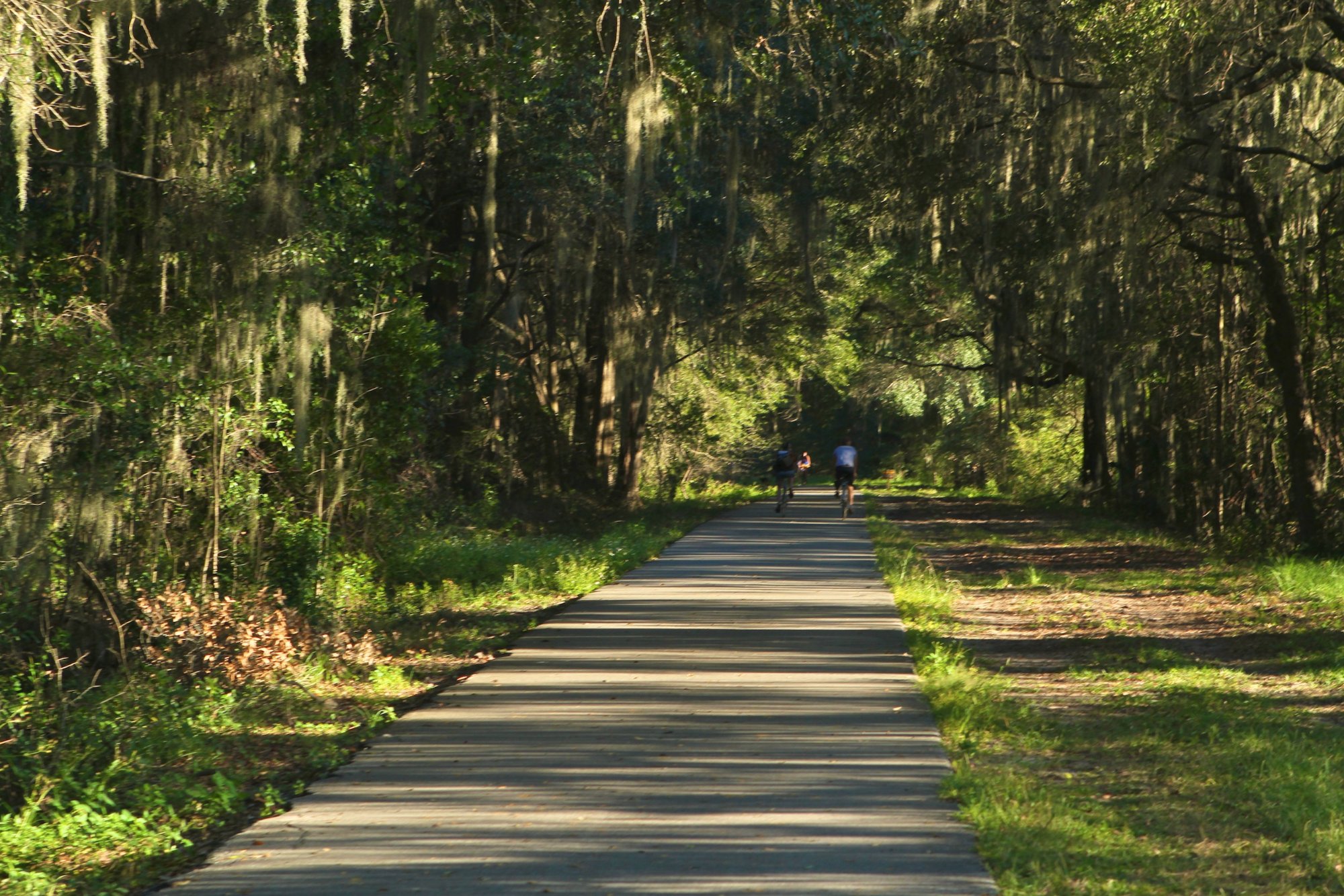 Gainesville-Hawthorne State Trail - 2022 Lohnt Es Sich? (Mit Fotos)