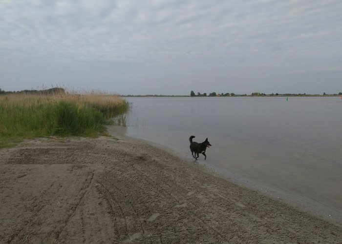Strand De Abbert Drontermeer