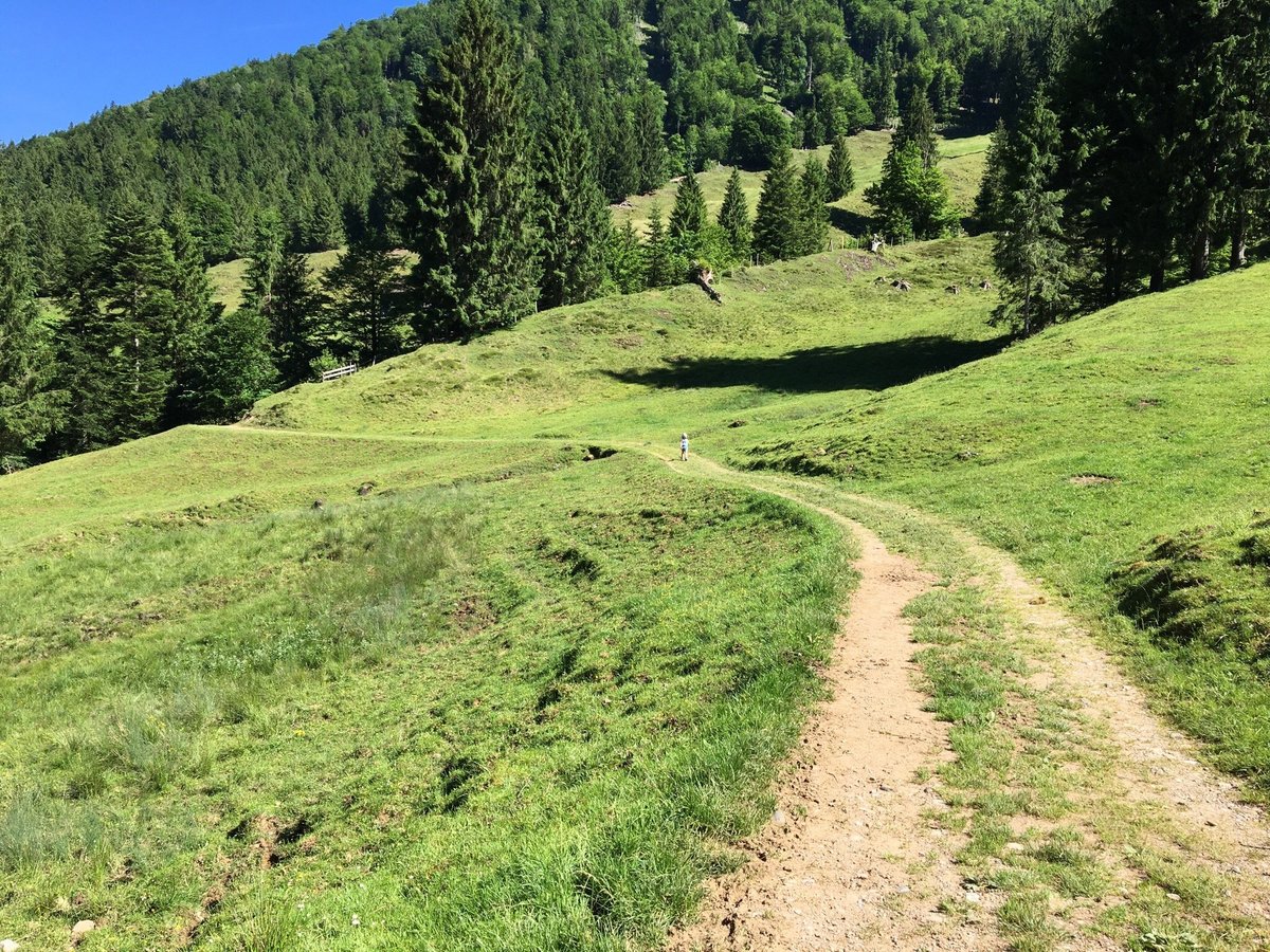 DIE TOP 10 Sehenswürdigkeiten in Kanton Appenzell 2022 (mit fotos