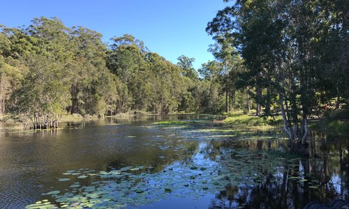 Mooloolah Valley, Australia 2023: Best Places to Visit - Tripadvisor