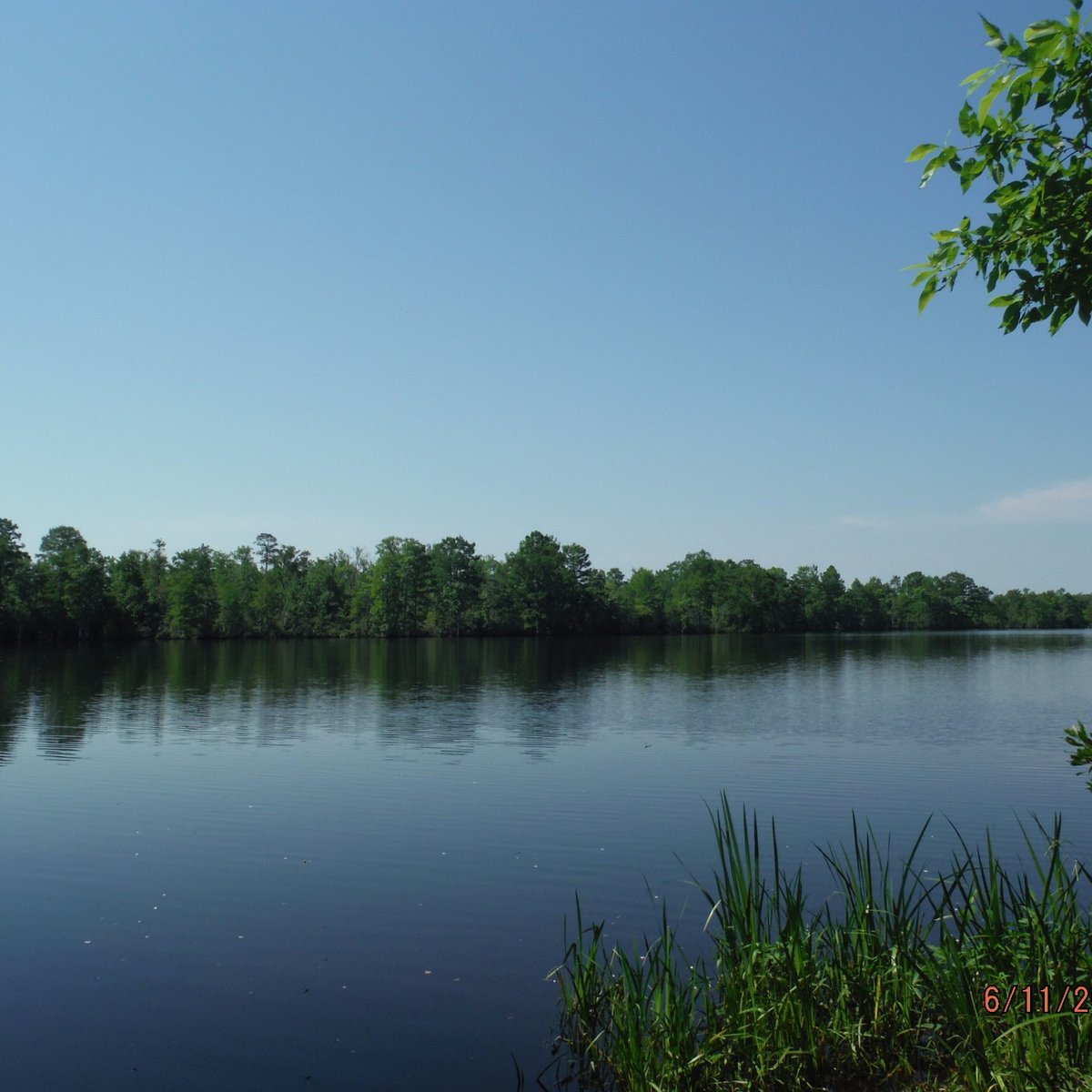 NORTHWEST RIVER PARK (Chesapeake): Ce qu'il faut savoir pour votre ...