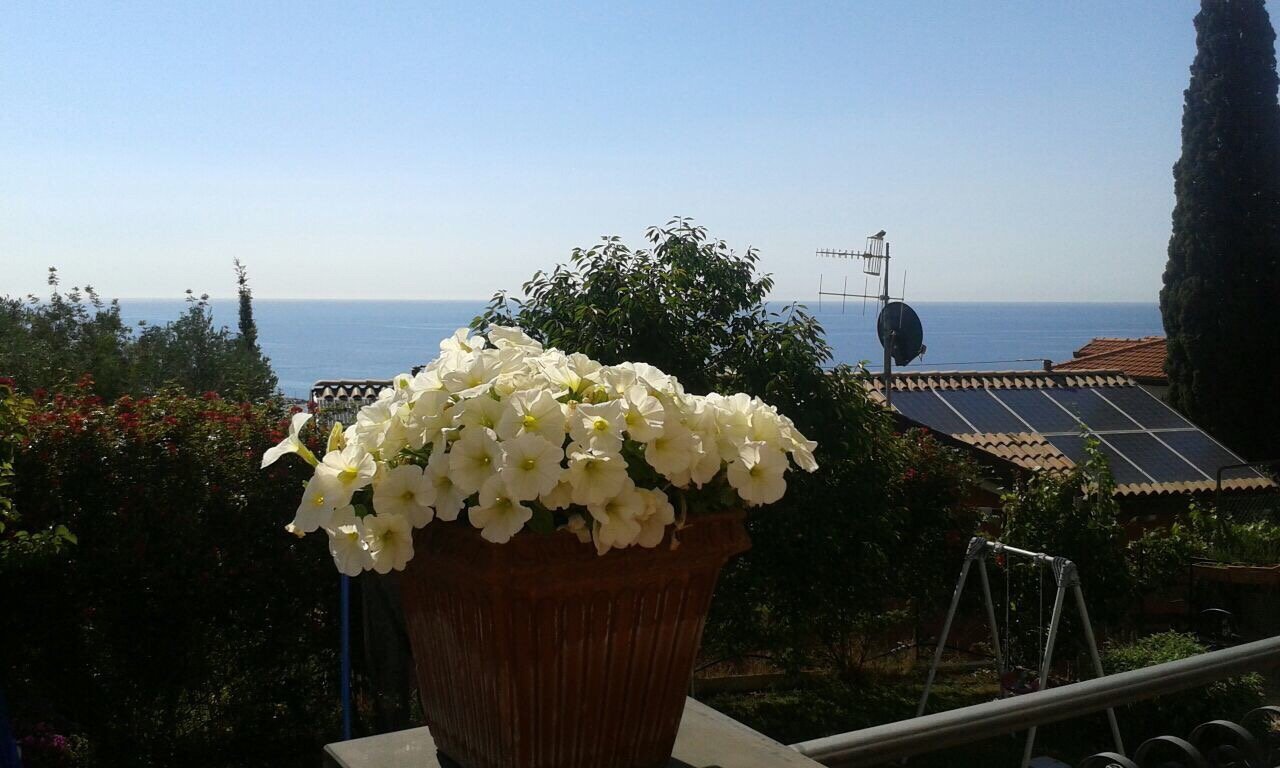 LA DOLCE VITA - Prices & B&B Reviews (Taggia, Italy)