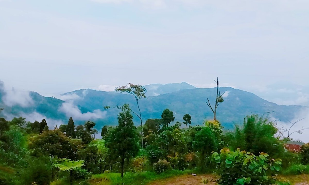 Charkhole View Point