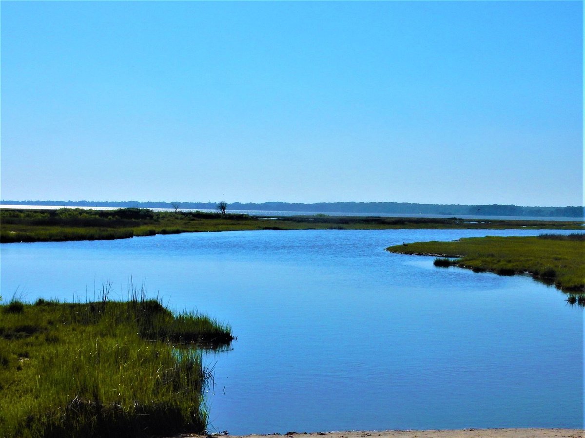 THE BEST Hotels in Assateague Island, MD 2024 - Tripadvisor