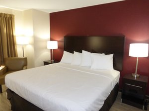 Room & Suite