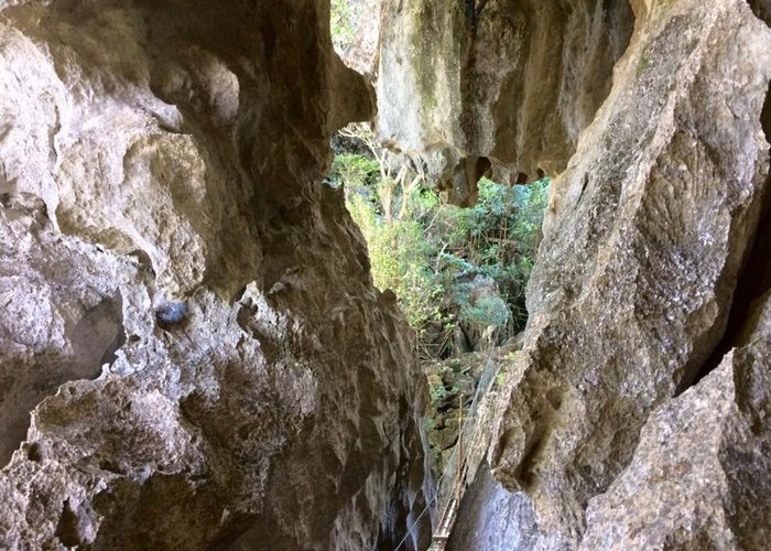 Entrance of the cave