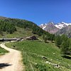 Things To Do in Ancient Larches of Val d'Ultimo Valley, Restaurants in Ancient Larches of Val d'Ultimo Valley