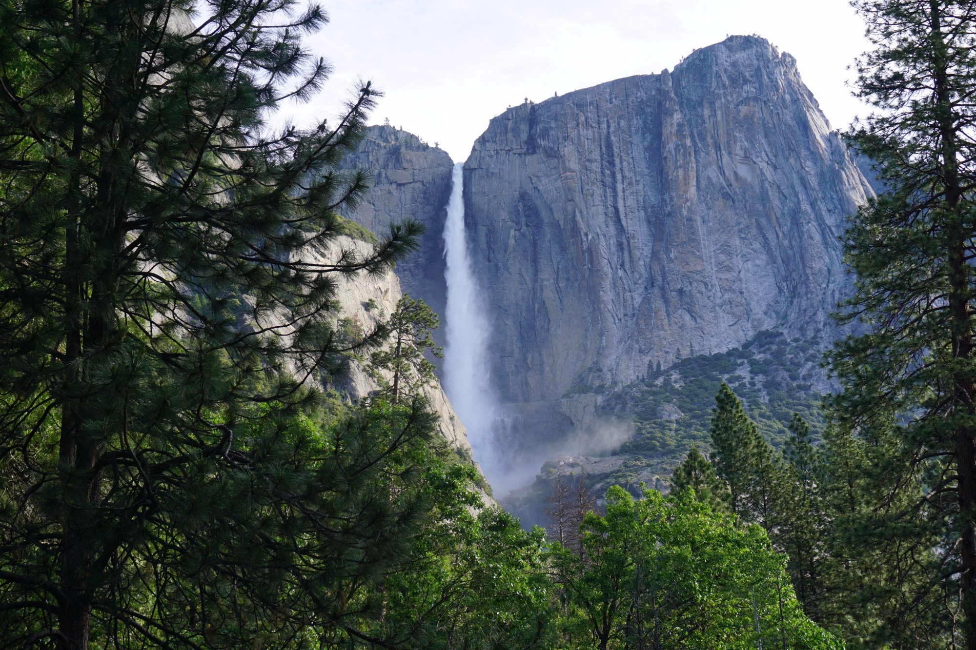 Yosemite Valley Lodge by null