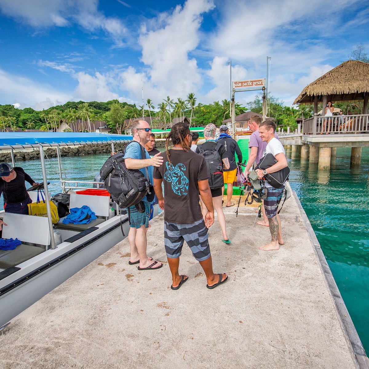 Palau Dive Adventures (Koror) - All You Need to Know BEFORE You Go