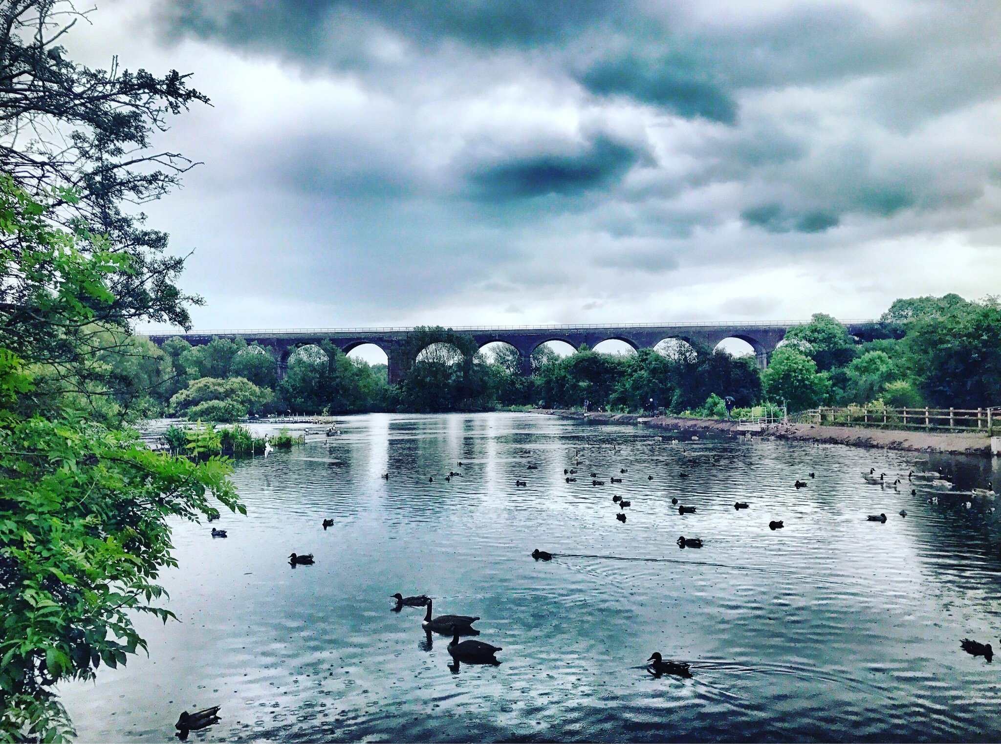 Reddish Vale Country Park (Stockport) - 2023 Alles Wat U Moet Weten ...