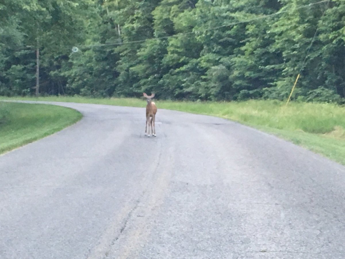 Escape to Ohio's Gem: Stonelick State Park Adventure Awaits!