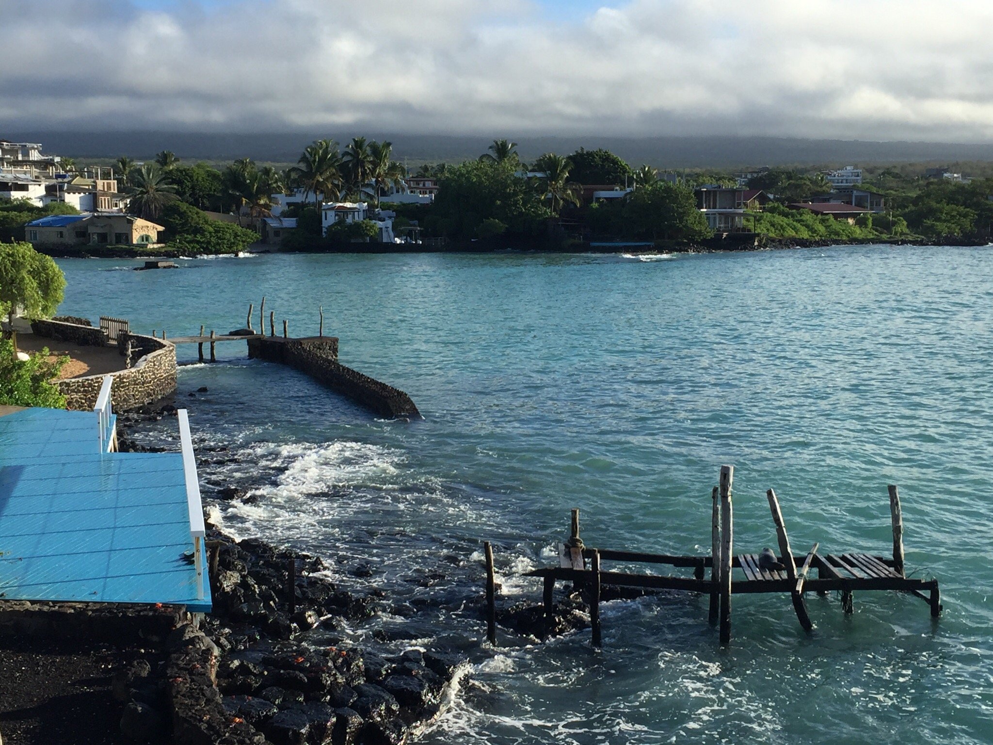 ESTRELLA DEL MAR HOTEL Reviews Galapagos Islands Santa Cruz