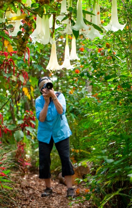 Hotel photo 25 of Tortuga Lodge & Gardens.