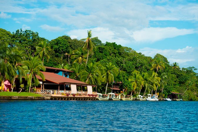 Hotel photo 76 of Tortuga Lodge & Gardens.