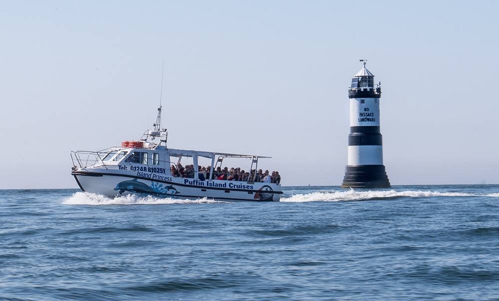 puffin island boat trips wales
