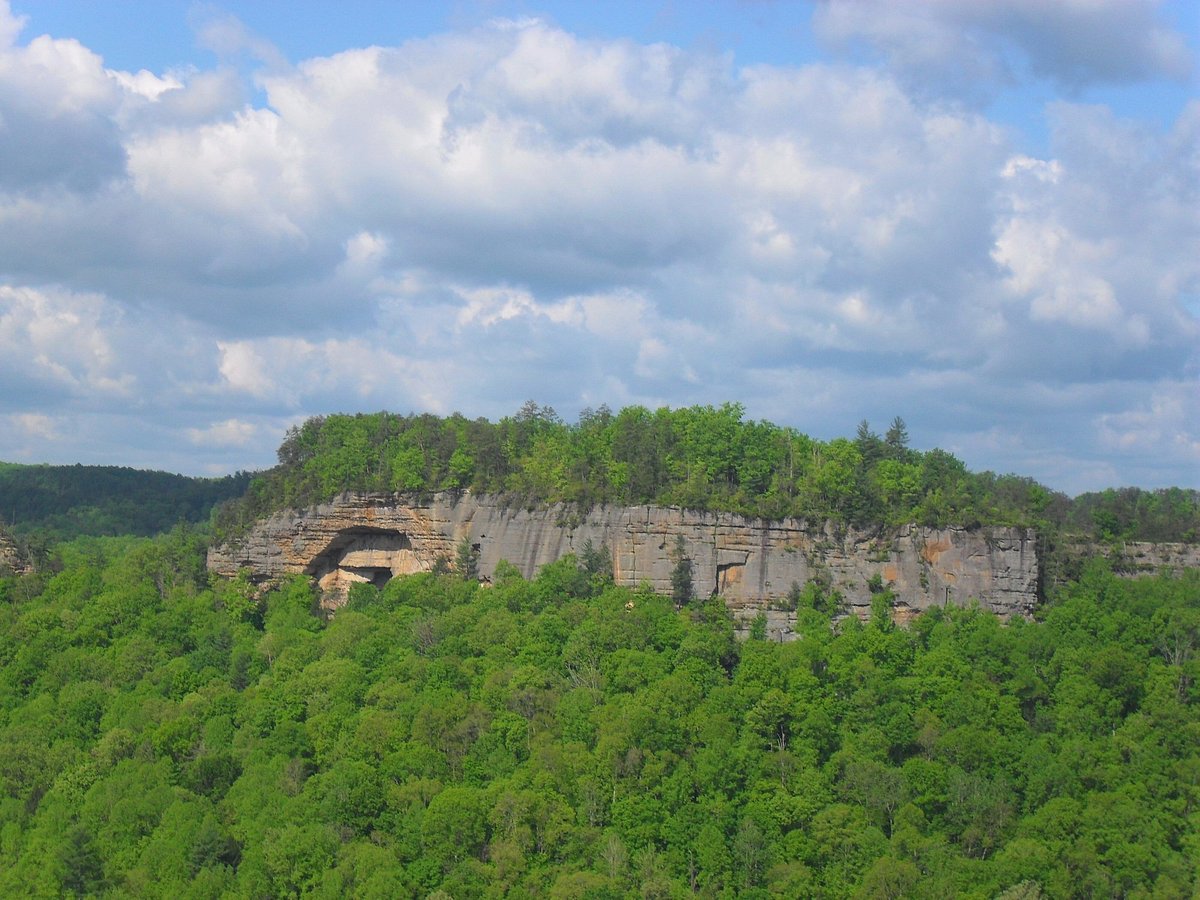 RED RIVER GORGE GEOLOGICAL AREA - All You MUST Know Before You Go (2024)